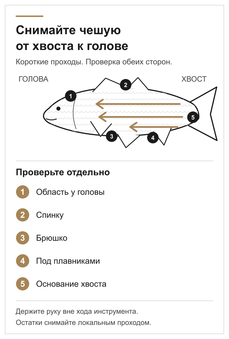 Схема рыбы: короткие движения от&nbsp;хвоста к&nbsp;голове и&nbsp;пять зон&nbsp;проверки